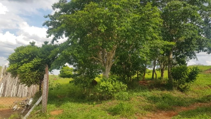 Foto 6: Terreno à venda, 1911 m² por R$ 90.000,00 - Barreiro - Taubaté/SP