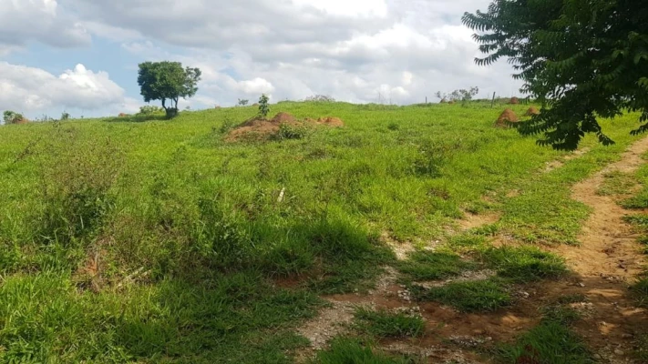 Foto 10: Terreno à venda, 1911 m² por R$ 90.000,00 - Barreiro - Taubaté/SP