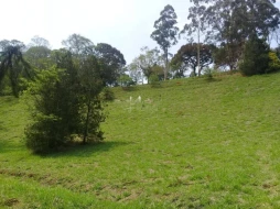 Imagem Terreno Residencial Ecológico Parque da Mantiqueira