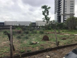 Imagem Terreno Lavadouro de Areia